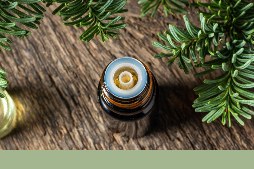 Cedar Himalayan Organic Essential Oil 10ml