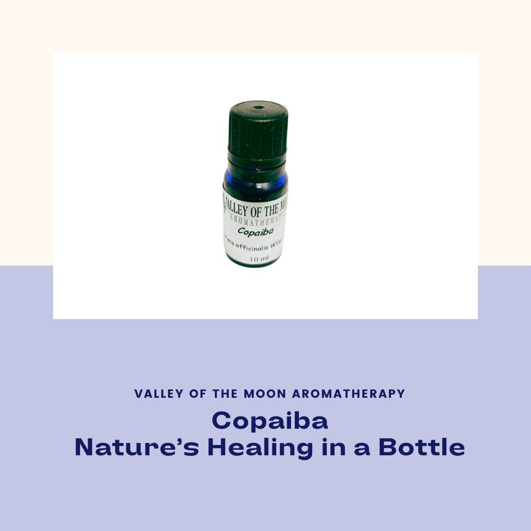 copaiba essential oil wildcrafted