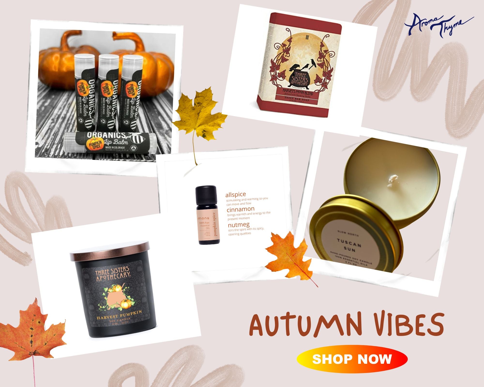 Fall Seasonal Pumpkin Spice Collection